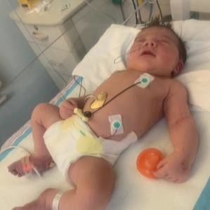 Meet your Posher, Dylan